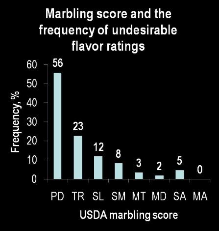 Automatic Extraction Of Marbling Measures Using Image Analysis For Evaluation Of Beef Quality Springerlink