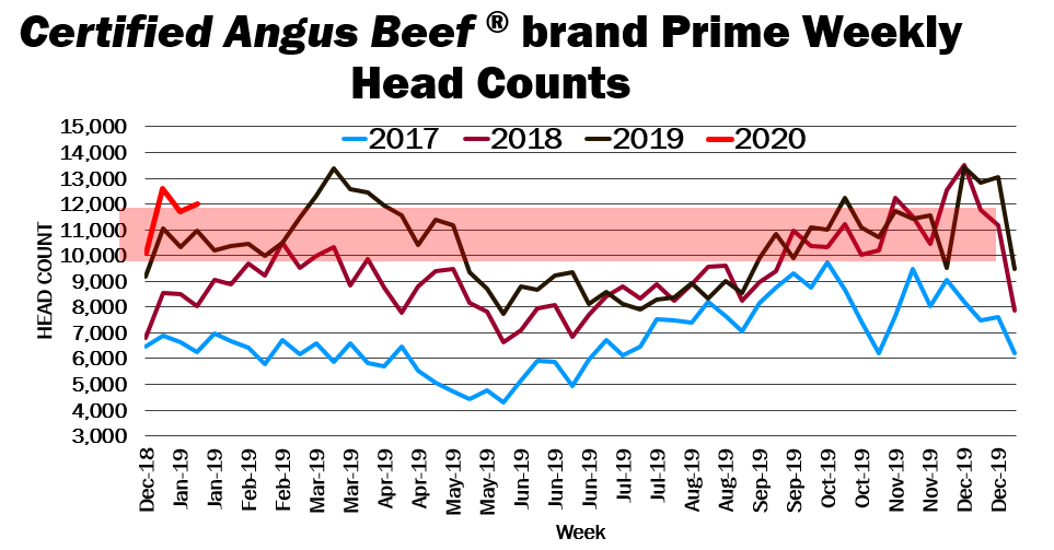 CAB brand Prime head counts