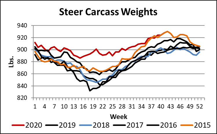 steer carcass weights