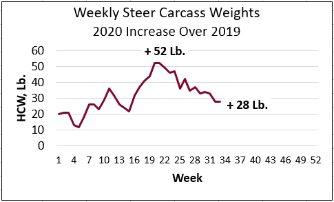 cab insider steer carcass weights