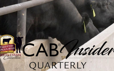 Lighter Carcass Weights and Shrinking Supply