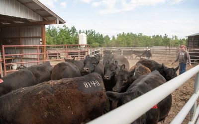 Future leaders earn $20,000 in Colvin scholarships