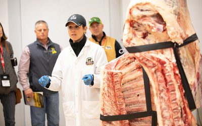 CAB carcass specifications expanded