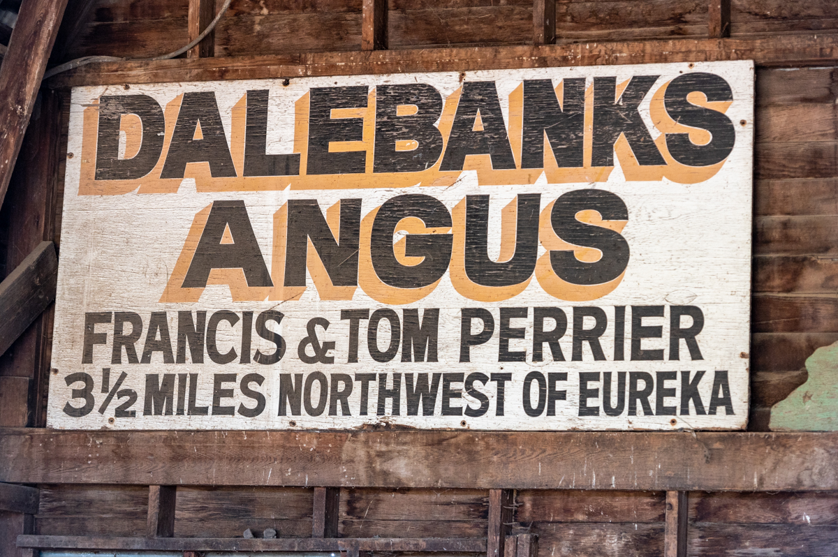 dalebanks perrier seedstock commitment to excellence