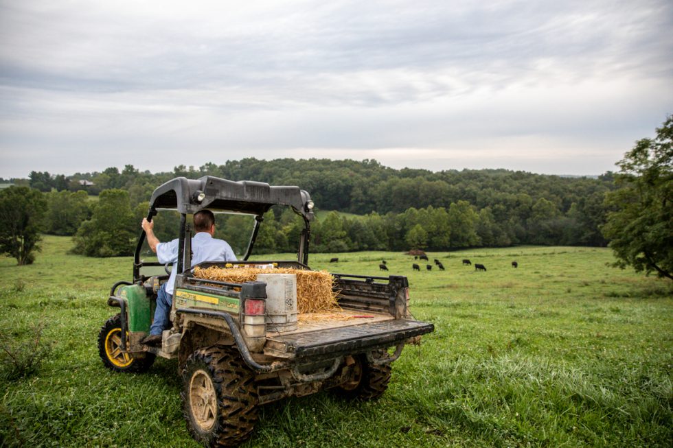 Eager to learn, ready to teach CAB Cattle