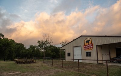 What happens in Wooster?