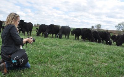 Wyoming K-Stater joins CAB team for summer