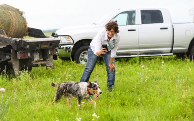 Field trips to the farm
