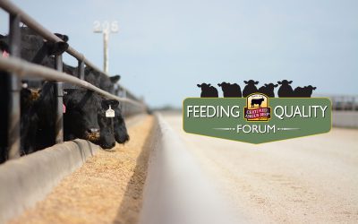 Registration opens for Feeding Quality Forum webinar