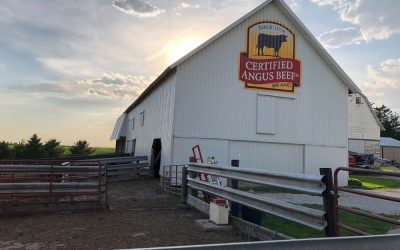 Our fifth blogiversary