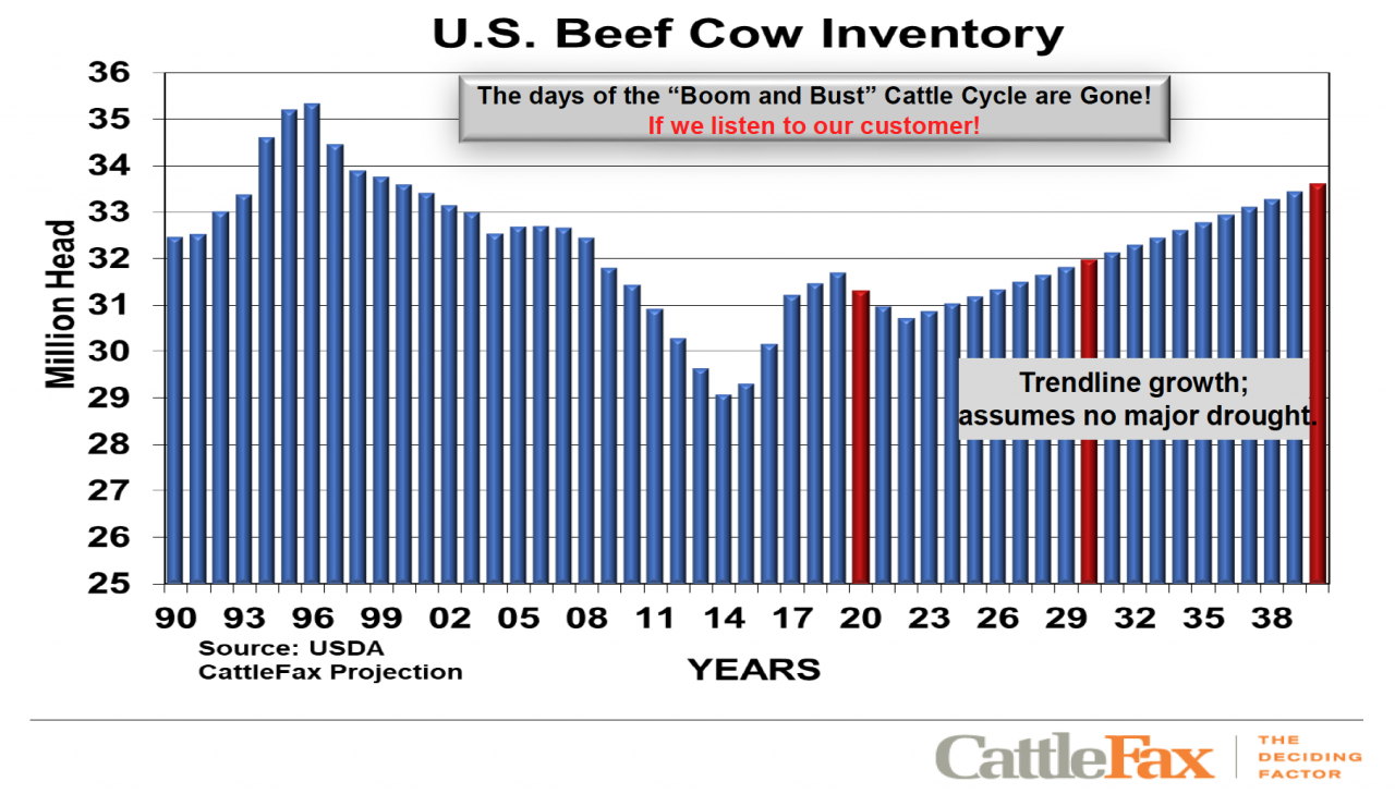 Hindsight for the future - CAB Cattle