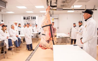 Developing More than Good Cattle