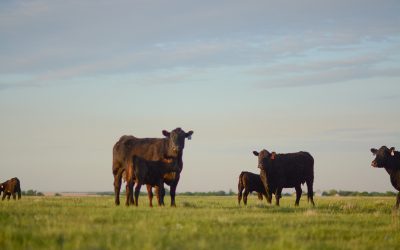 Here, there and everywhere