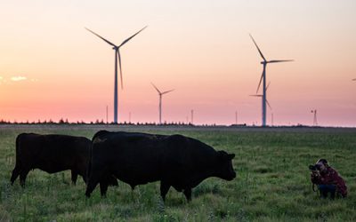 CAB intern Herring draws on passion, heritage, education