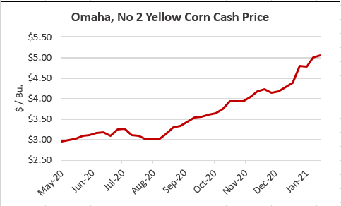 omaha corn cash price