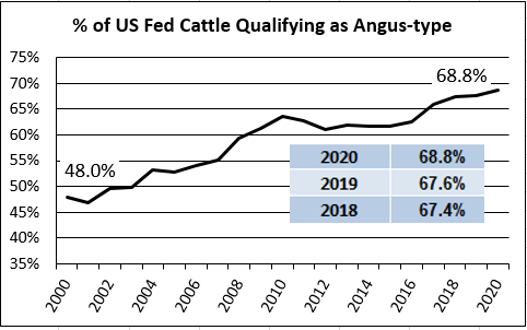 Angus qualifying fed cattle graph