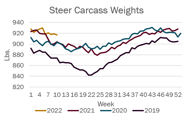 2022 steer carcass weights