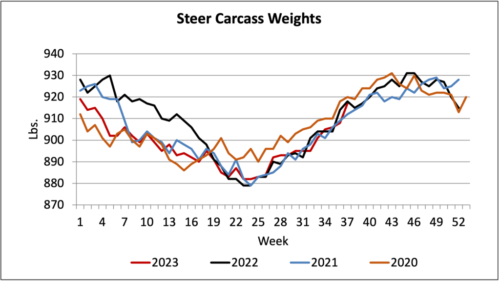 steer carcass weights 2020-2023