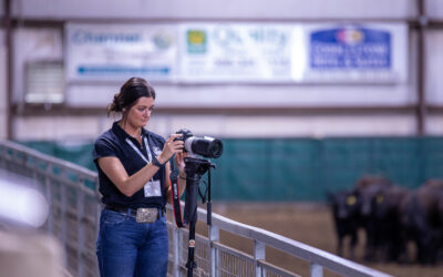 High-Quality Beef and Experiences Promised with Summer Internship