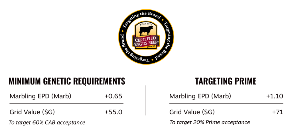 Targeting the Brand minimums for 60% CAB and 20% Prime