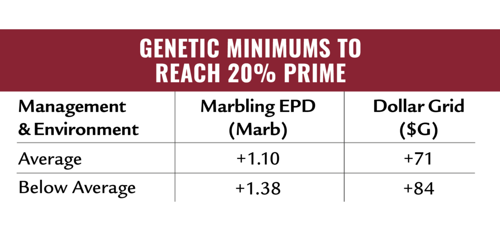 Targeting the Brand genetic minimums to achieve 20% Prime