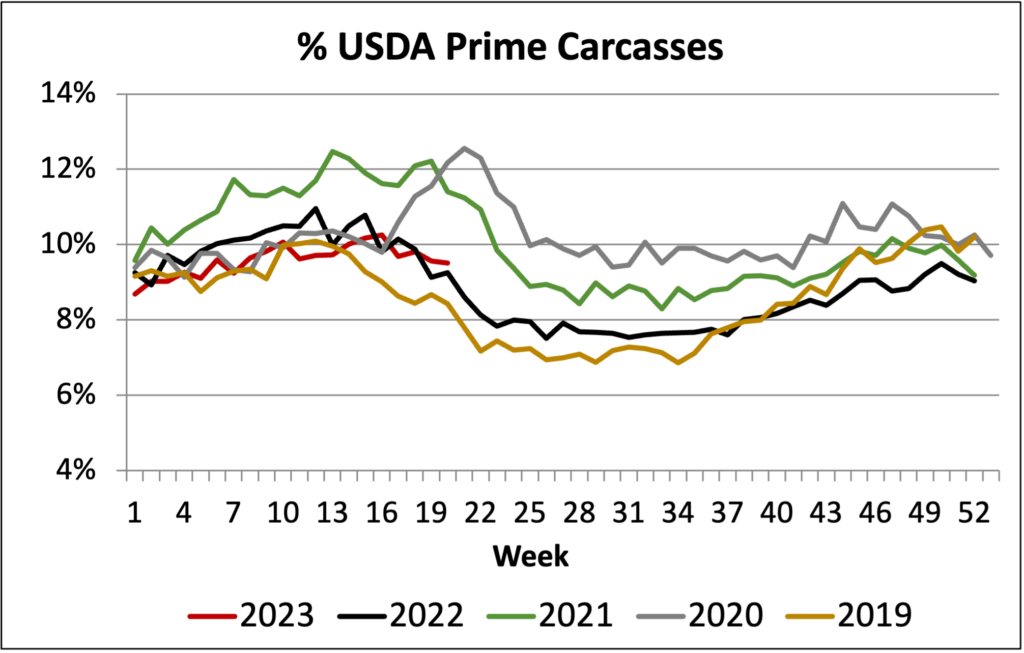 2023 USDA Prime Carcasses