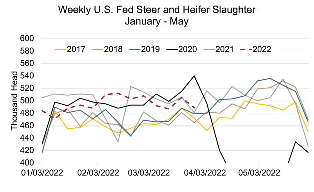 weekly steer and heifer slaughter april 13, 2022