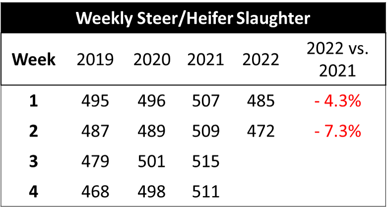 weekly steer/heifer slaughter jan 19, 2022