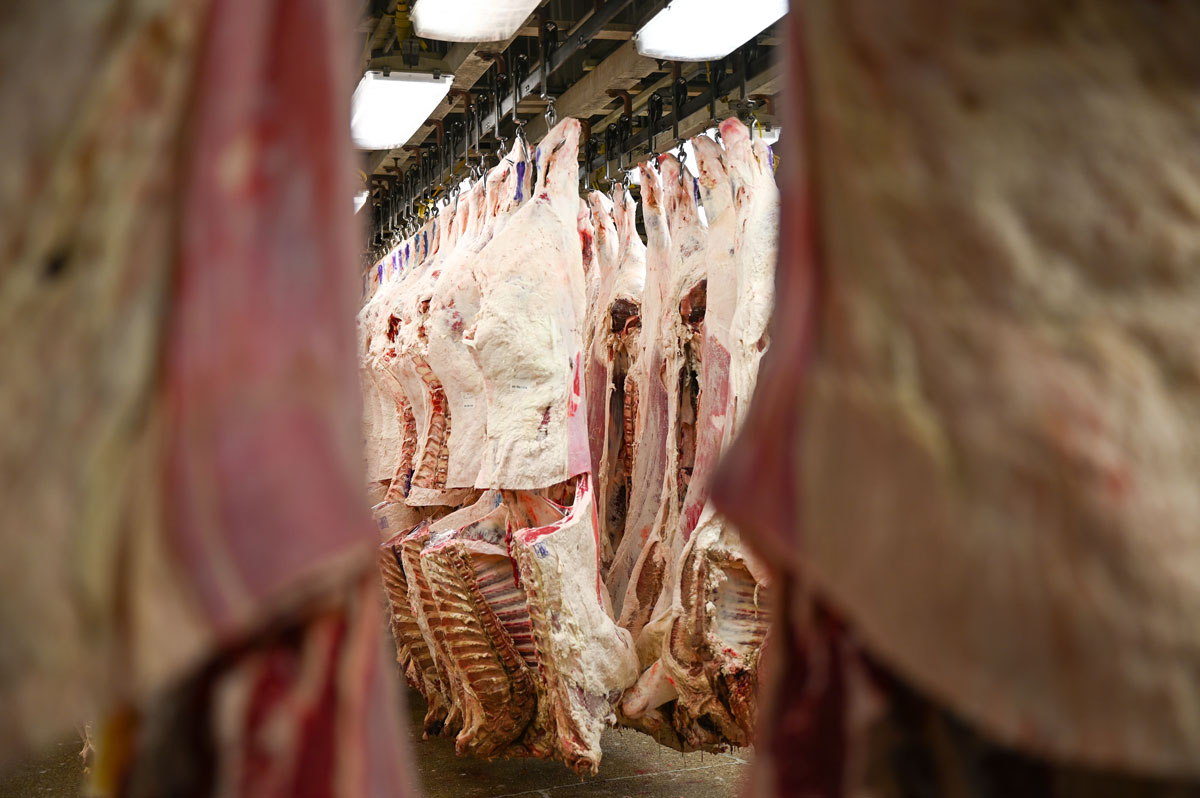 Should we be concerned about 'ungraded beef' in grocery stores?