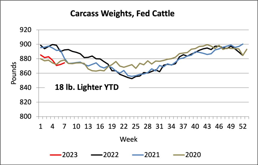 Fed Cattle Carcass Weights, March 2023